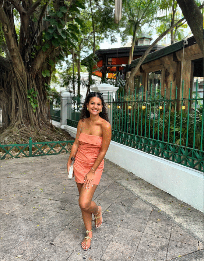 Sabriya Dress